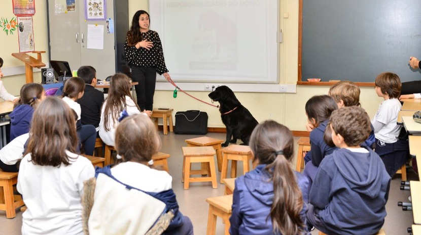 Bem-estar animal pode vir a ser incluída na grade curricular de escolas montenegrinas