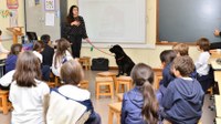Bem-estar animal pode vir a ser incluída na grade curricular de escolas montenegrinas